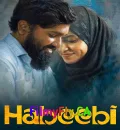 Habeebi (2026) (Hindi + Tamil) Dual Audio UnCut South Movie HD ESub